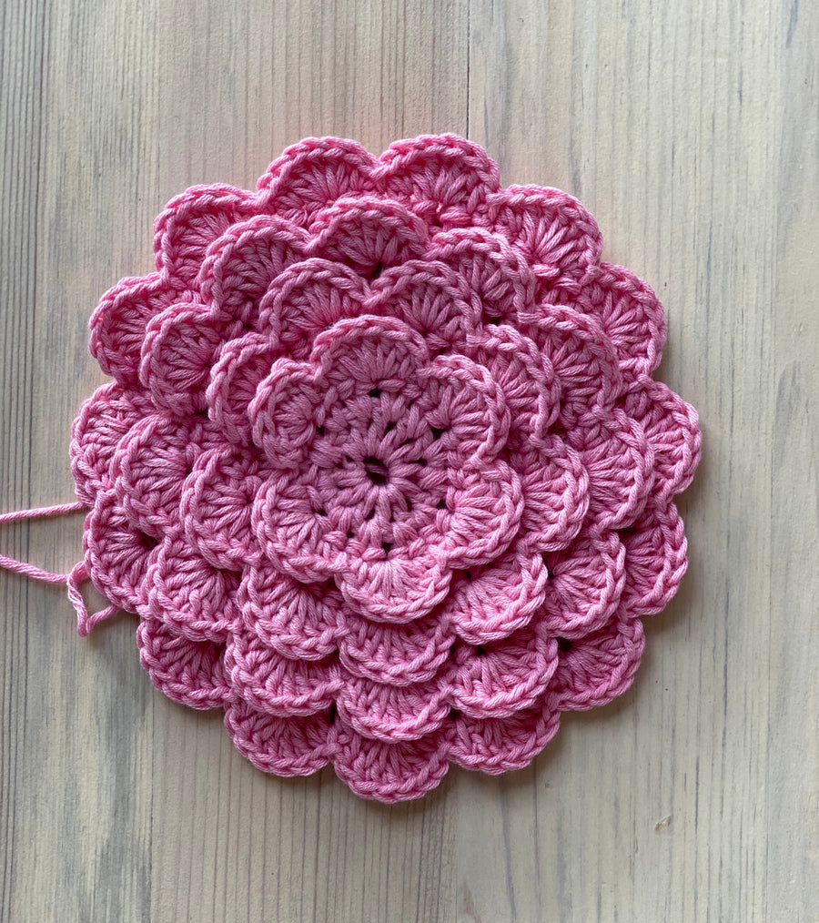 Bella's Crochet Pillow